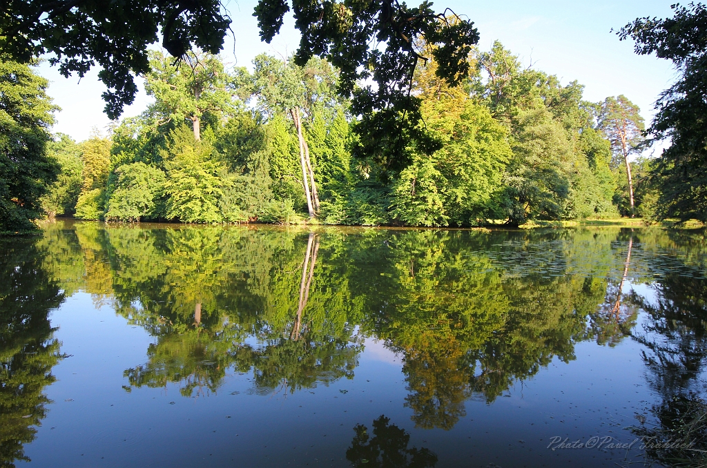 Zamecky park 11, Lednice.jpg